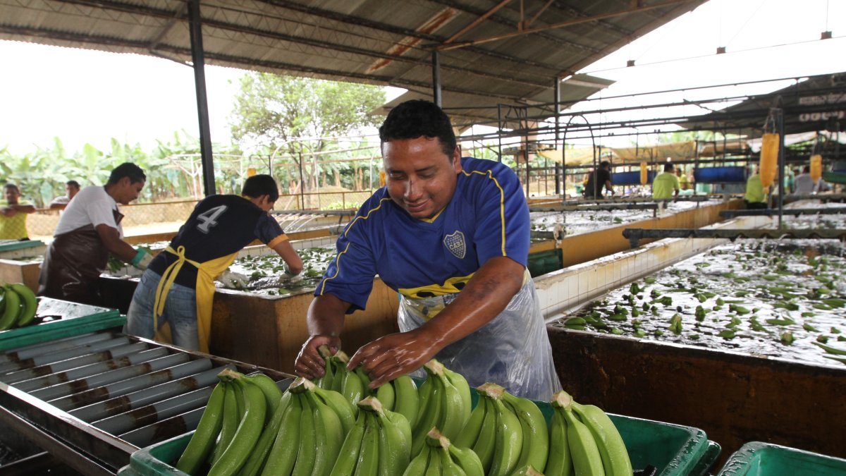 Su historia se remonta al siglo XIX, cuando el predio —entonces conocido como El Rincón— fue adquirido por Sixto Liborio Durán Borrero.