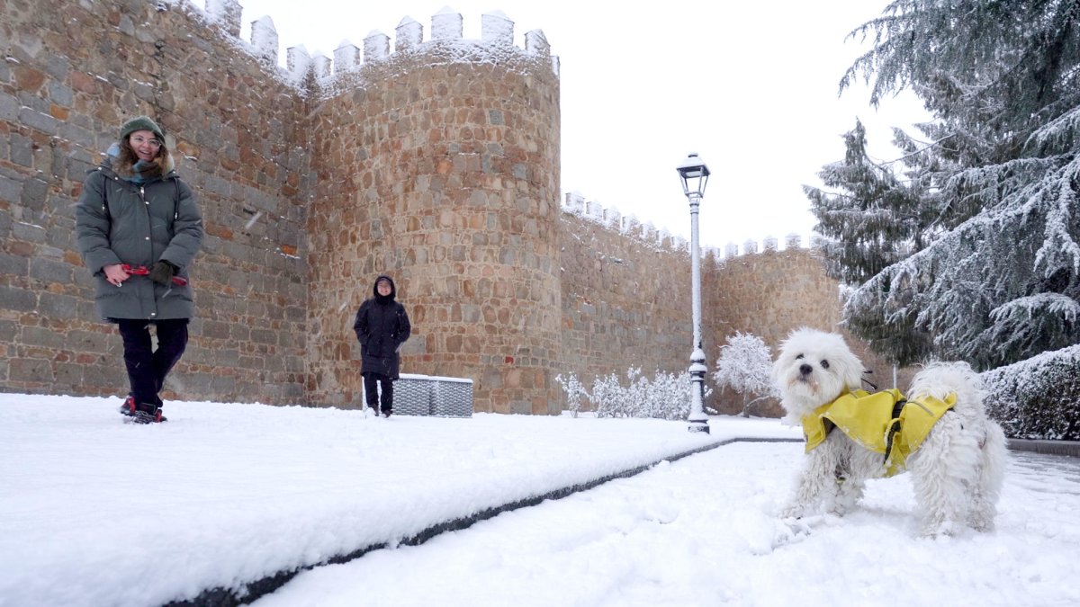 Dos personas pasean a su perro a los pies de la Muralla de Ávila, que está nevada, este miércoles