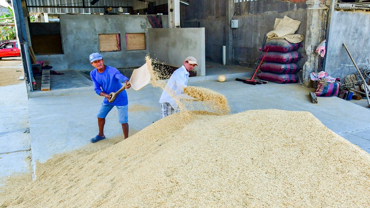 El arroz es uno de los productos afectados por los aranceles impuestos por Colombia.