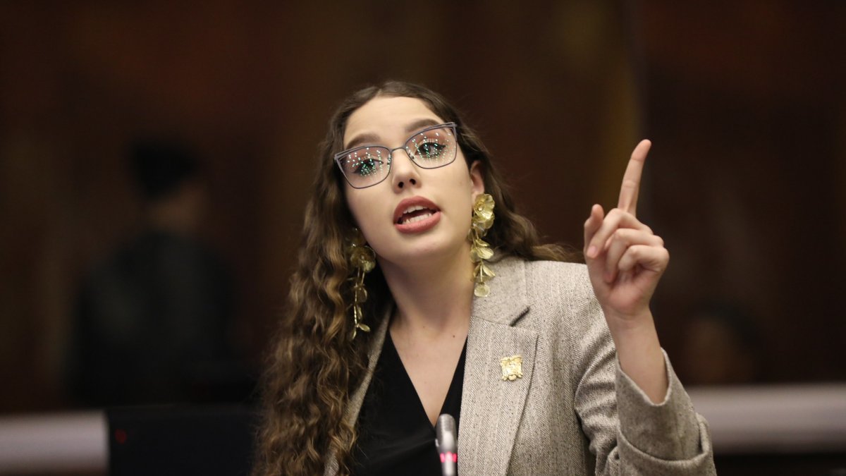 El polémico proyecto de ley fue presentado por la asambleísta Camila León (ADN).