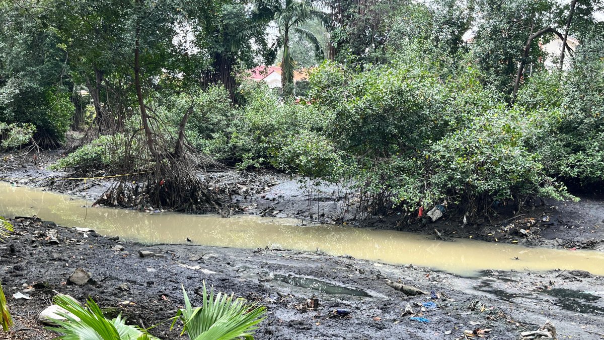 El sedimento ha tomado un color más natural, y ha perdido contaminantes.