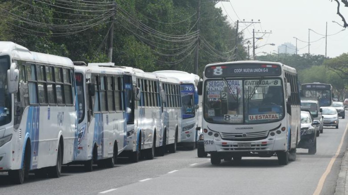 Conoce las novedades sobre el tránsito en esta zona de Guayaquil durante la noche amarilla.
