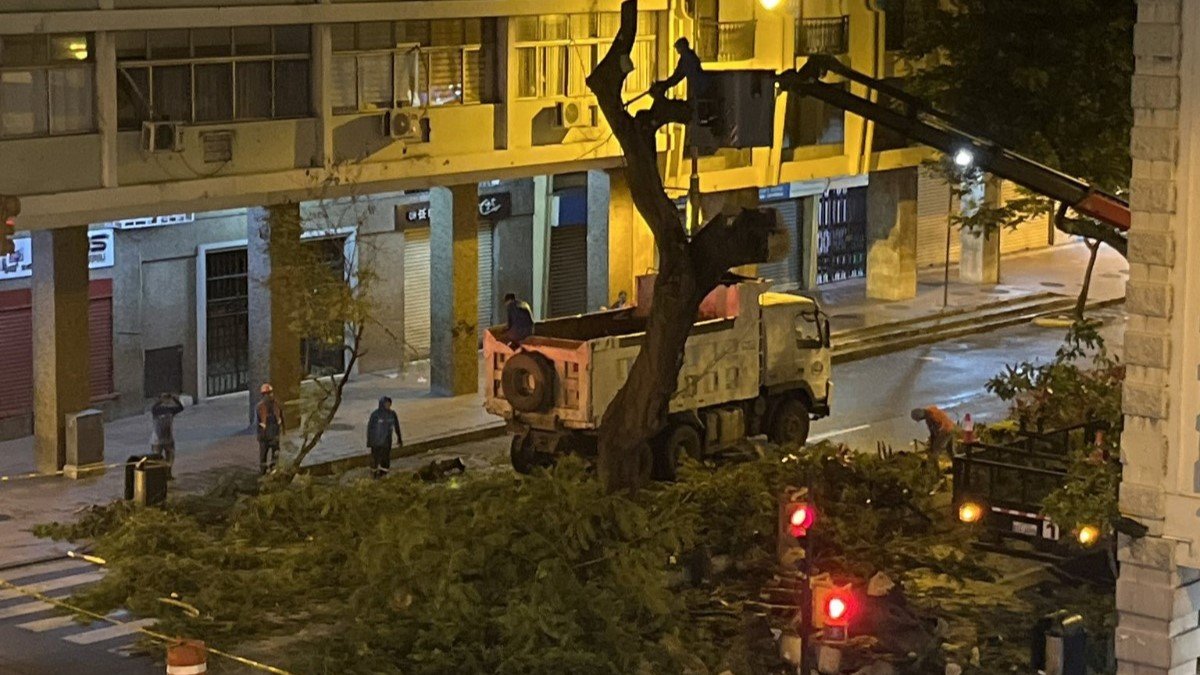 Personal de Parques EP realiza la remoción del árbol en la calle Sucre durante la noche.