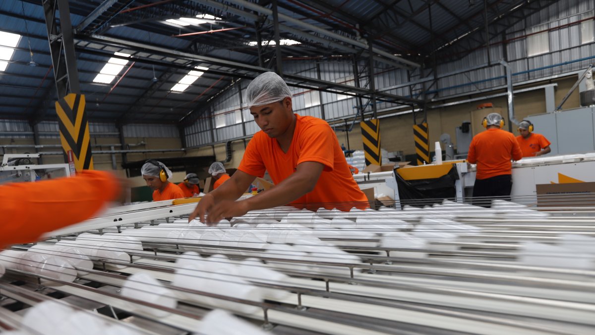 El sector plástico emplea 19.000 trabajadores directos y más de 120.000 indirectos.