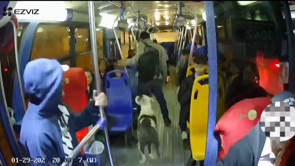 Cámaras de seguridad captaron el asalto armado en un bus urbano del sur de Quito, en el sector de Chillogallo.