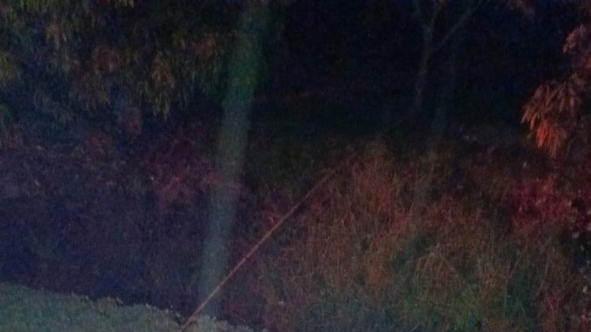 Siniestro. El siniestro ocurrió la madrugada de este domingo 1.