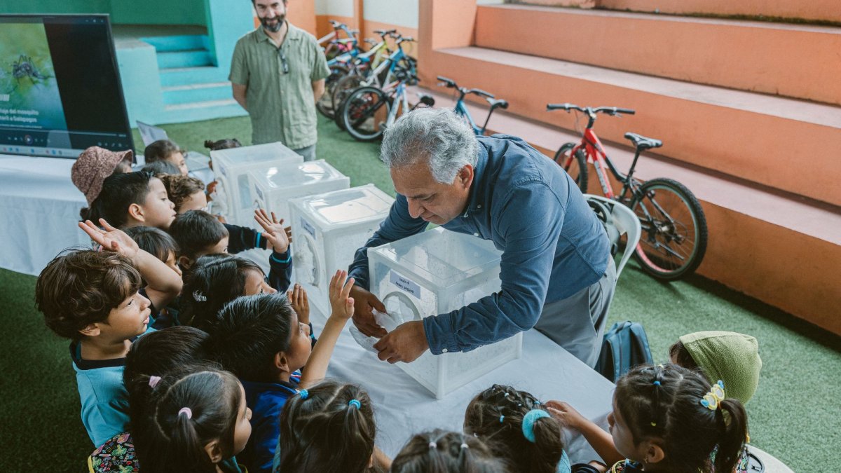 Instituciones académicas, técnicas y vecinos de Bellavista trabajan juntos para aplicar la Técnica del Insecto Estéril y reducir la presencia del Aedes aegypti.