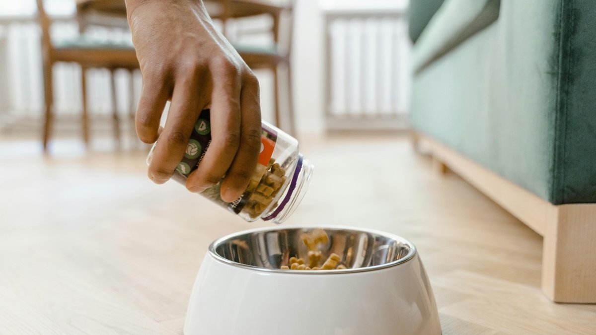 Referencial. La comida de animales incrementó de precio entre finales de enero y principios de febrero.