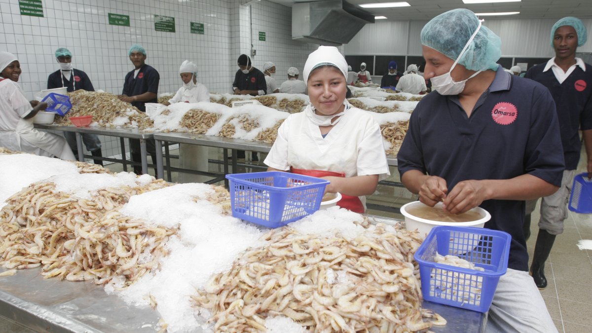 Una recuperación de precios y mayor demanda repercuten en los buenos resultados.