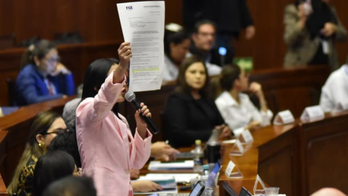 Viviana Veloz increpó a Mario Godoy durante el juicio político.