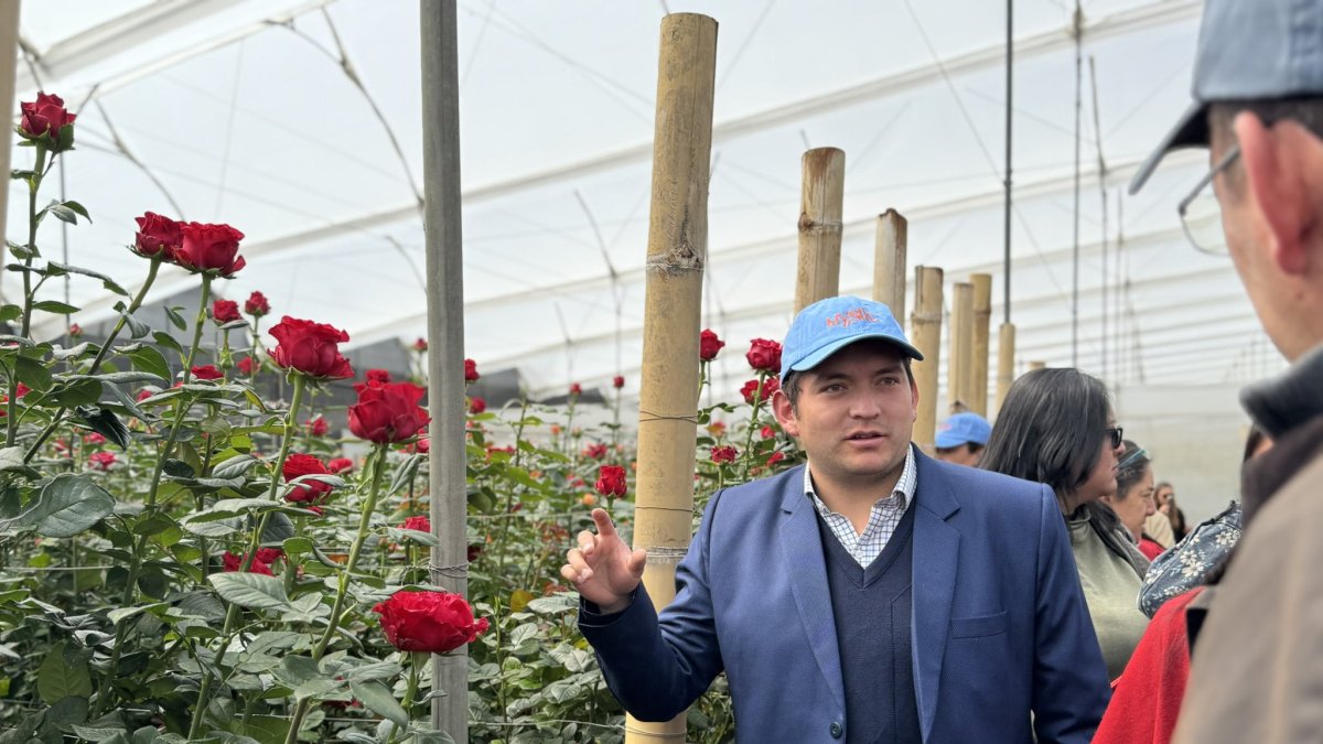 Expoflores proyecta ventas de hasta $ 276 millones