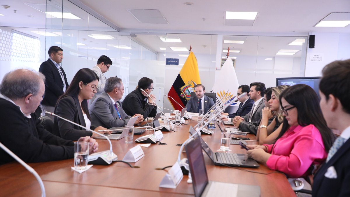Delegados ministeriales expusieron observaciones sobre reproducción asistida en la Comisión de Salud.