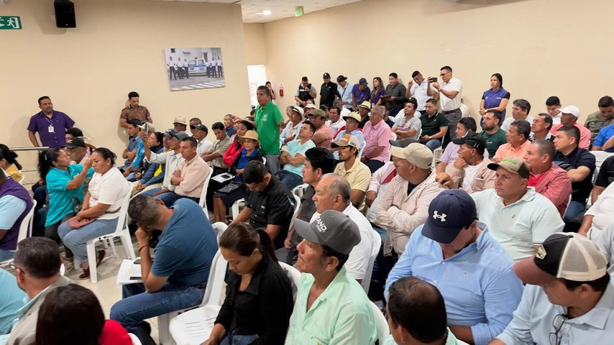 La reunión de os arroceros realizada el martes 3 de febrero de 2026 en la provincia de Los Ríos.