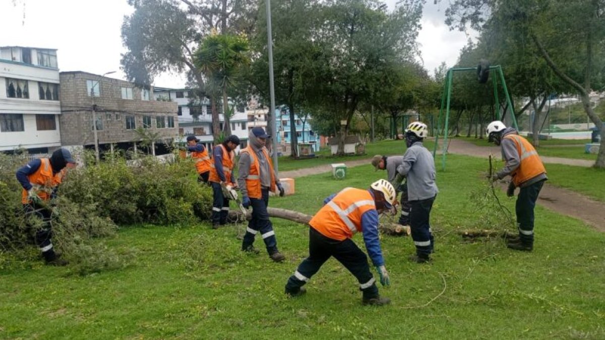 Personal de la Epmmop, apoyado de maquinaria pesada, se moviliza de un extremo a otro de Quito para despejar las vías y reducir los riesgos.