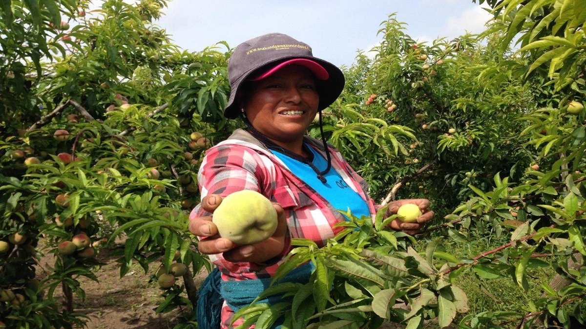 El monto del financiamiento será de hasta $5.000, con una tasa de 9,8 %.