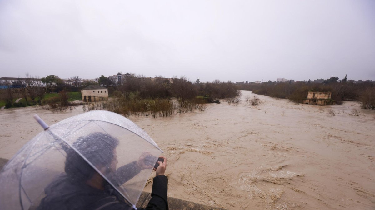Vista del río Guadalquivir que ha alcanzado el umbral naranja a su paso por Córdoba donde la lámina de agua se sitúa ya en 2,24 metros sobre el nivel de aguas bajas.