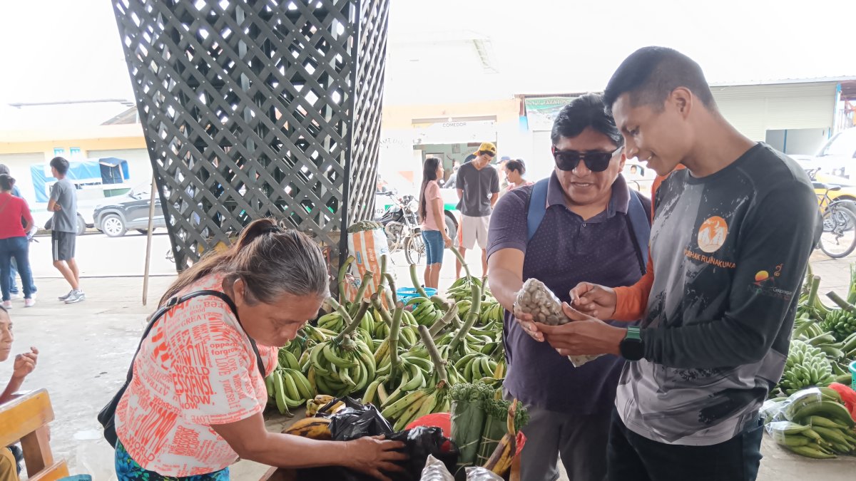 El maní del Inca, herencia viva de la chacra amazónica

El maní del Inca, herencia viva de la chacra amazónica.