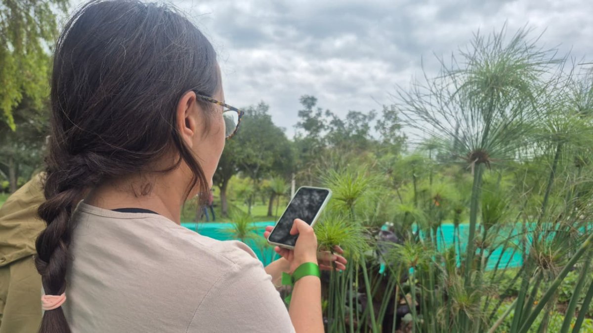 Con una aplicación se puede documentar la flora y fauna de los Hábitats Ecológicos Urbanos en el Parque Bicentenario.