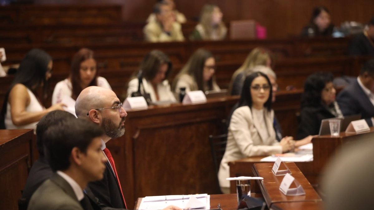 La Comisión de Fiscalización tenía previsto conocer la última prueba documental de Mario Godoy y los últimos testigos convocados por el correísmo.