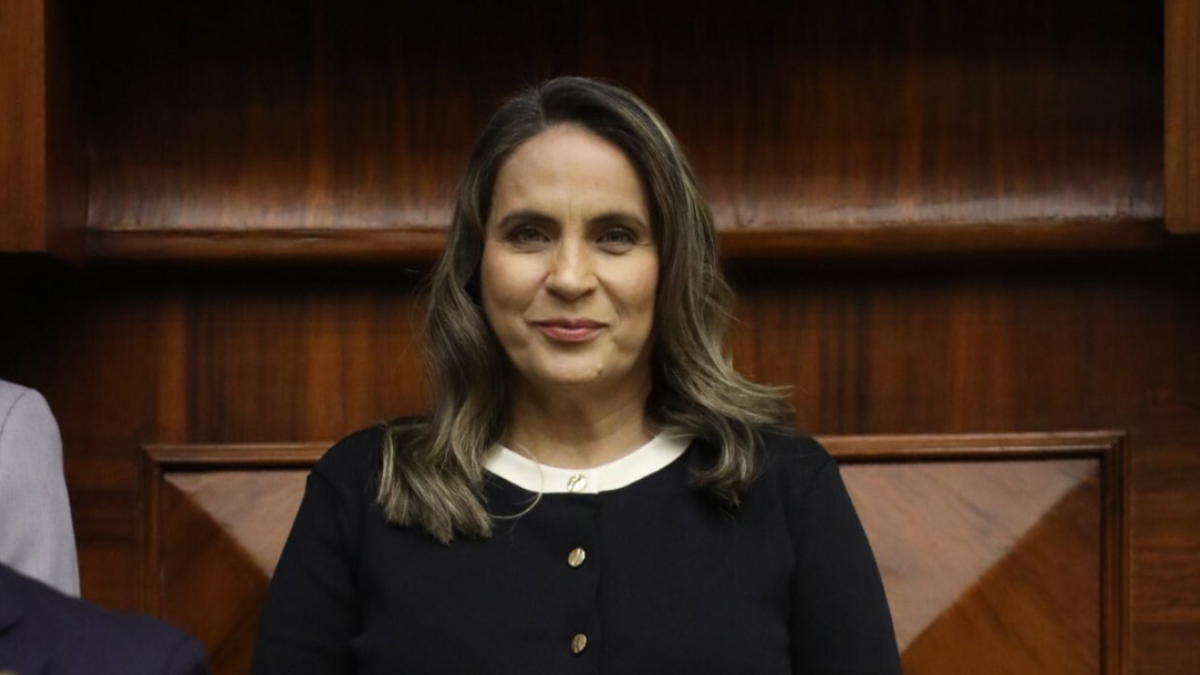 Villacís rechaza impedimento y asegura que está al día con el SRI.