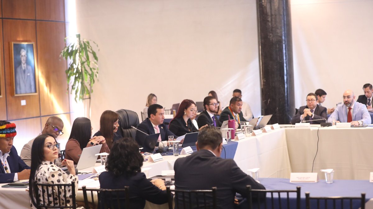 Este 10 de febrero de 2026 fue el último día para la práctica pruebas en el juicio político contra Mario Godoy, presidente del Consejo de la Judicatura.