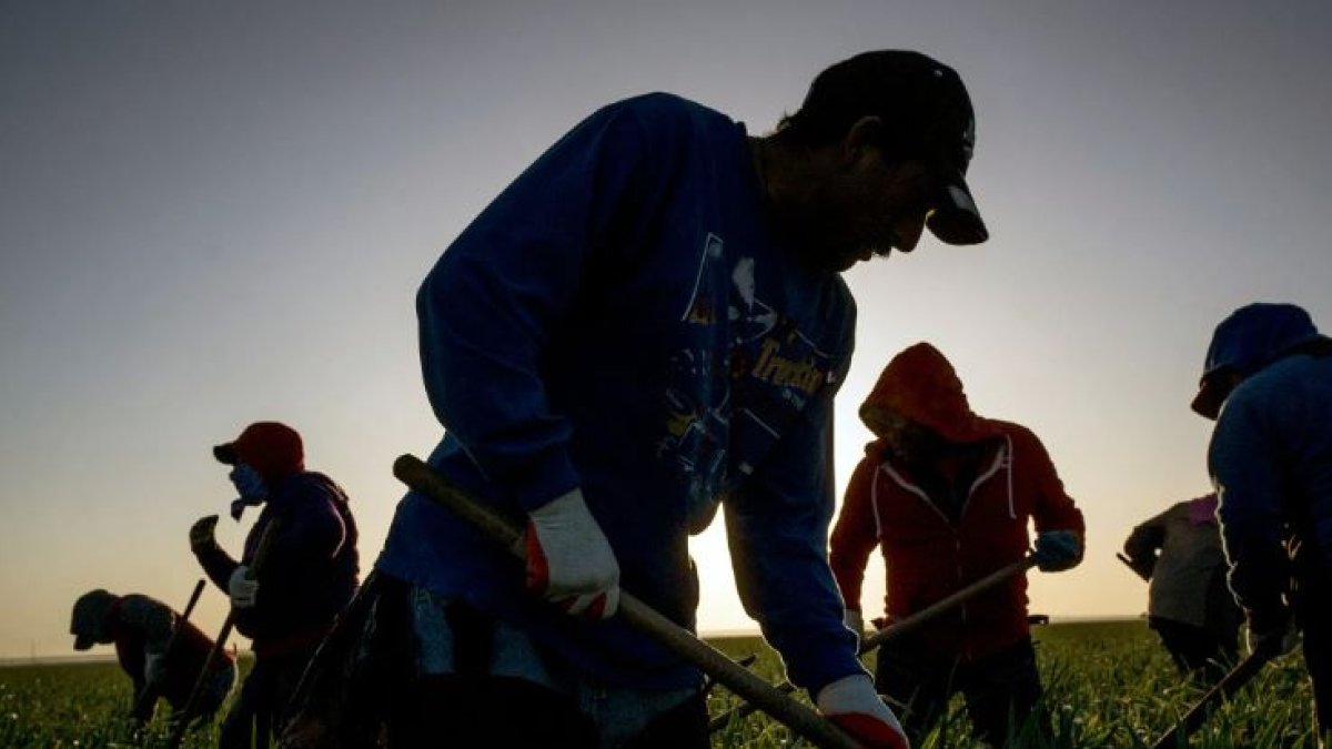 Visa de trabajo para EE.UU.: Requisitos para ecuatorianos en labores agrícolas