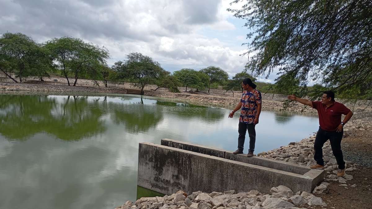 Las lagunas de oxidación ubicadas detrás del barrio Campo Alegre no han recibido mantenimiento, según los habitantes.