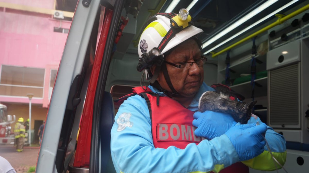 Bomberos participaron en el rescate de mascotas en medio de la emergencia por el incendio en el centro comercial Multicomercio.