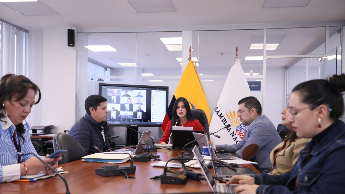 El CNE envió documentos al Legislativo, tras la solicitud de información de la Mesa de Participación.