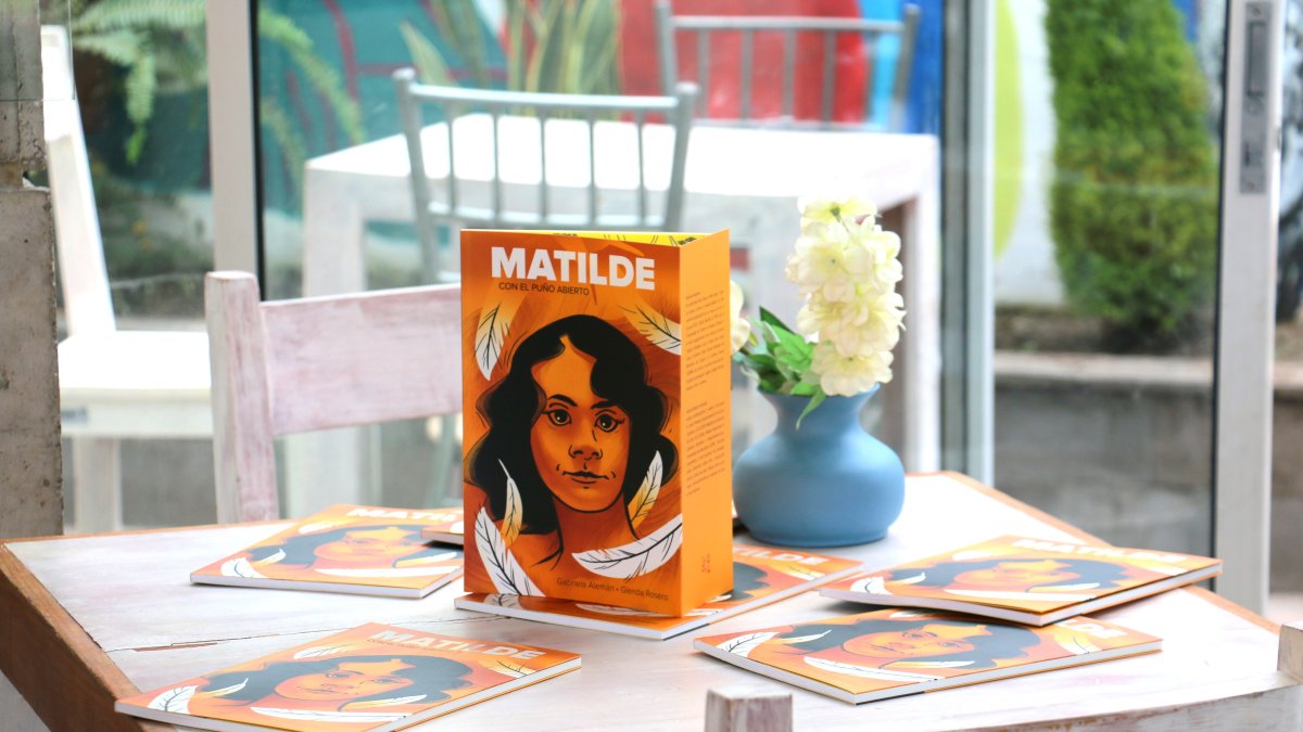 Fumigación del MSP en provincias priorizadas por brote de dengue.