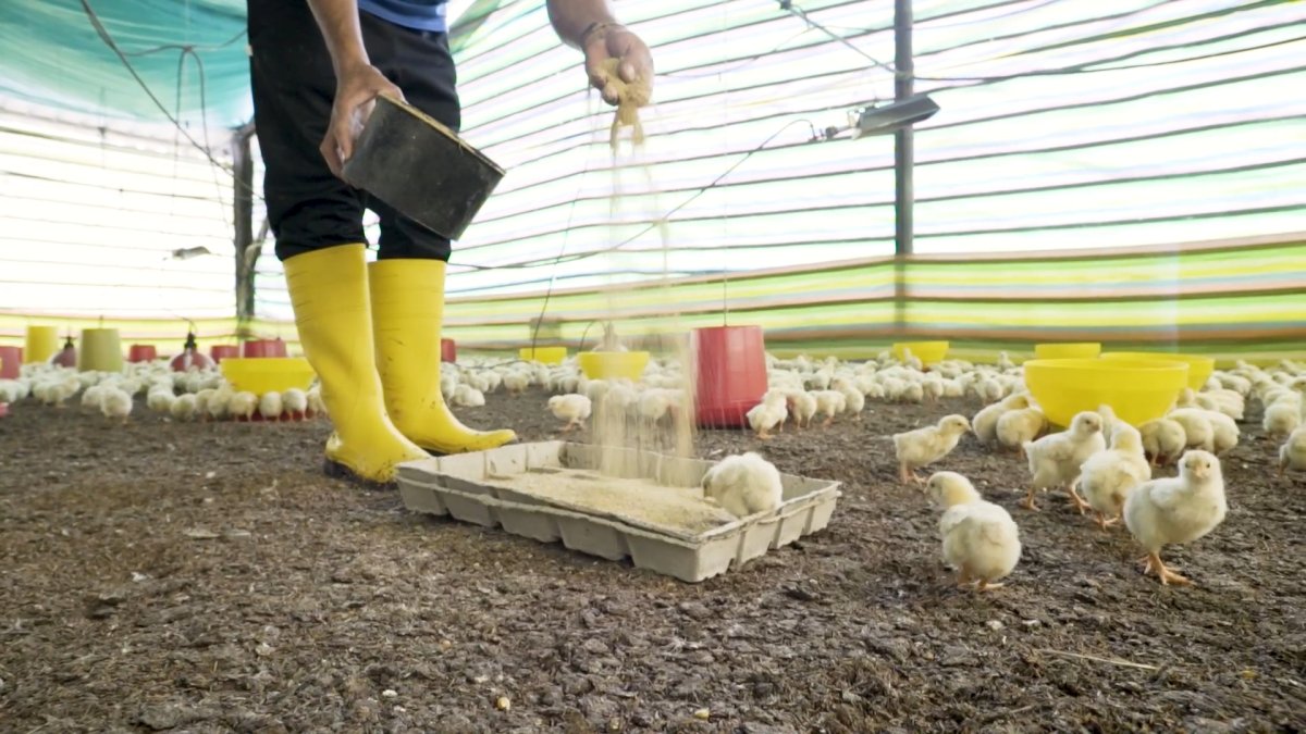 Lost in Space, serie de Netflix, está basada en la serie original creada de Irwin Allen en 1965, Perdidos en el espacio.