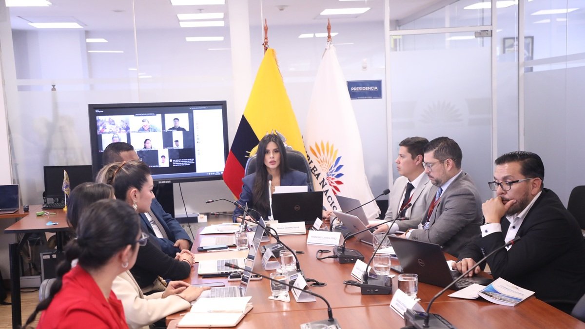 Diana Jácome, de la Comisión de Participación, inició la fiscalización de los efectos del fallo de la CC sobre las solicitudes de los adolescentes para el cambio de género en el Registro Civil.