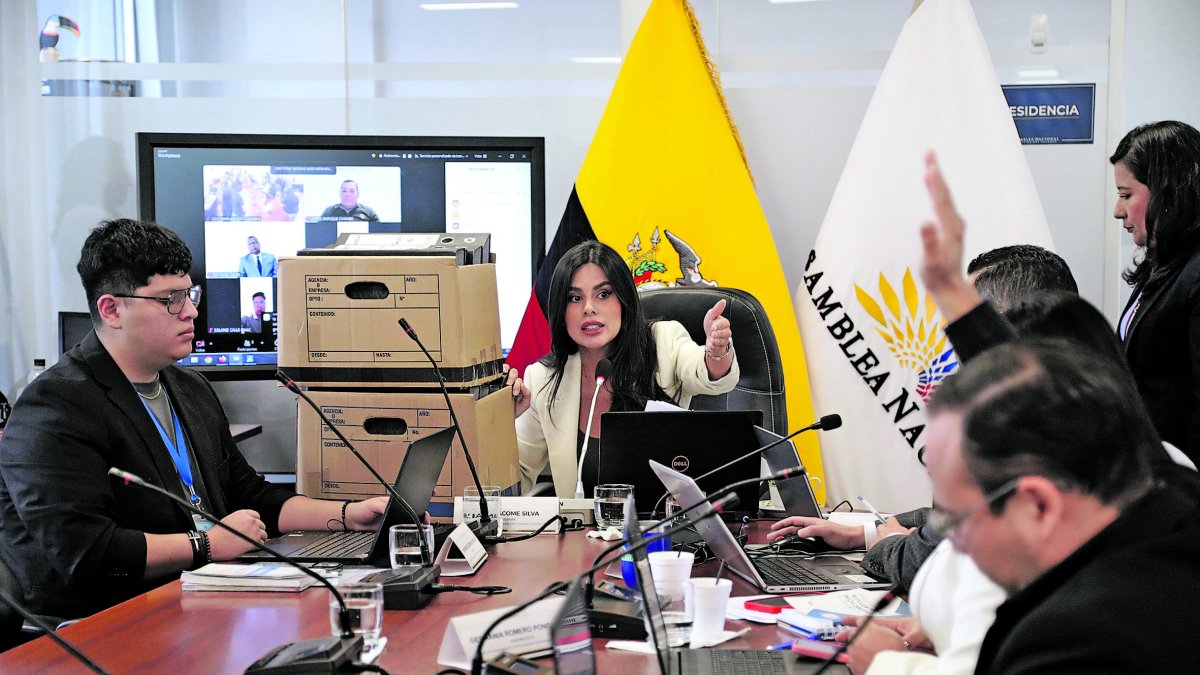 La Comisión de Transparencia se encargará de fiscalizar la conmoción social por una sentencia de la Corte Constitucional