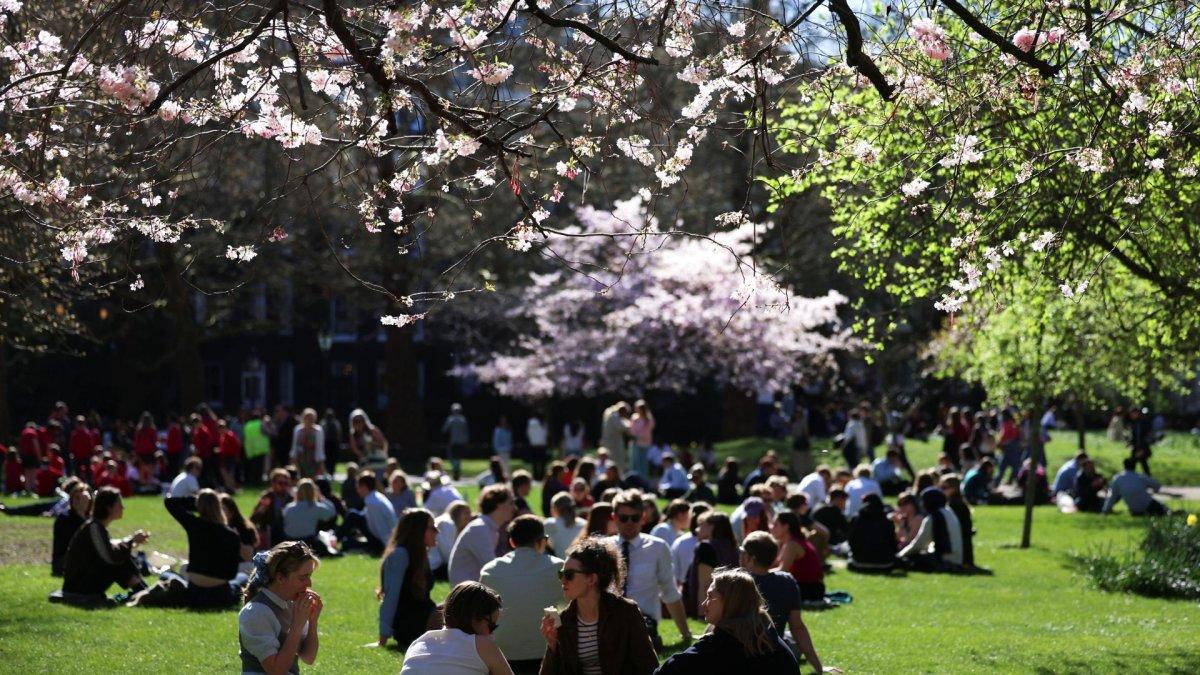 Varias personas se sientan bajo los cerezos en flor en St James's Park, en Londres, Gran Bretaña, el 18 de marzo de 2026.