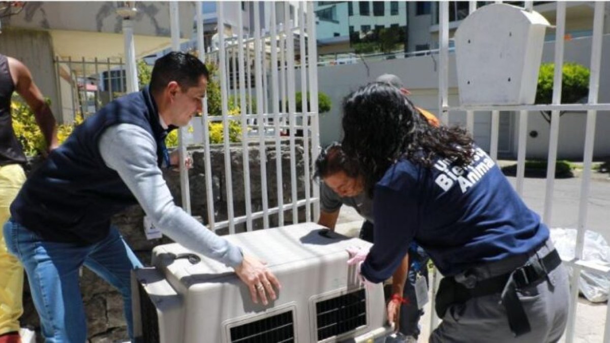 El ataque al niño ocurrió en el barrio de San Roque.