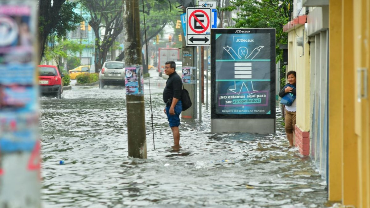 Dos asambleístas del Partido Social Cristiano (PSC) dejarán sus curules para participar en las elecciones seccionales de 2027.