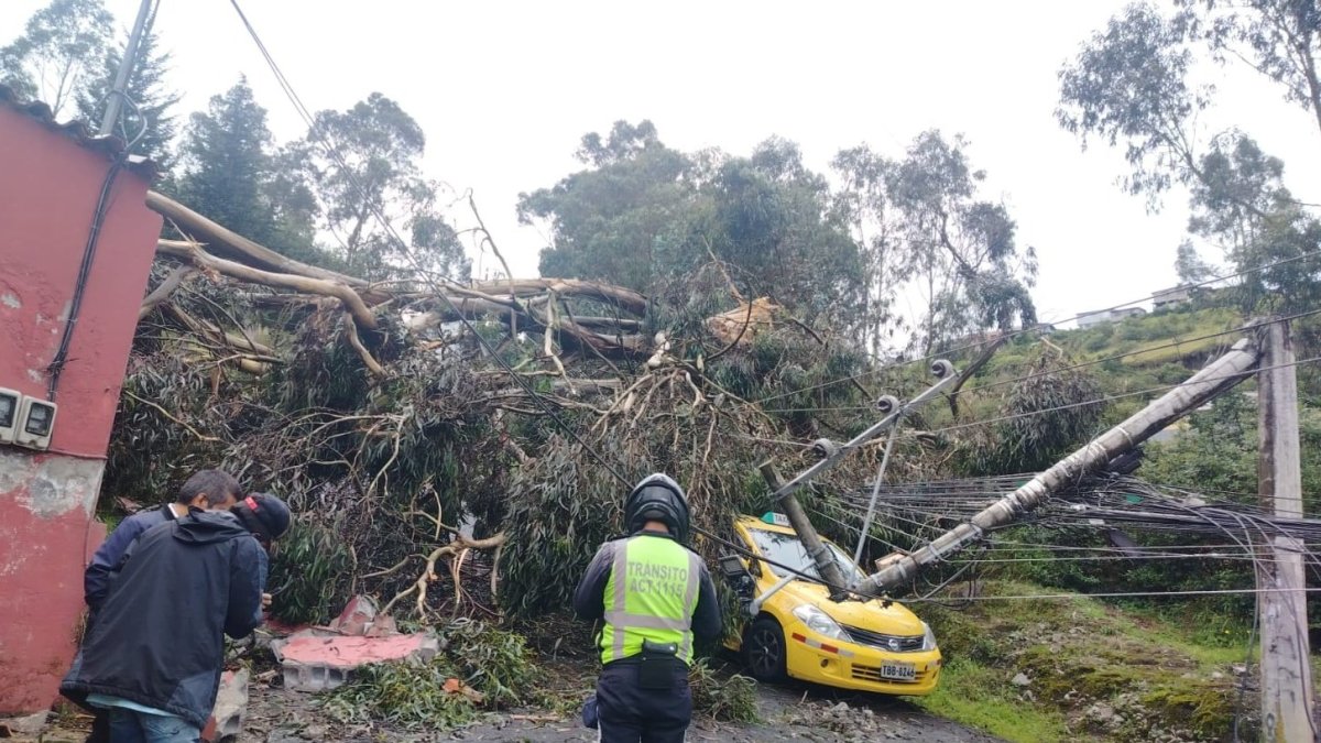 Taxi quedó atrapado entre ramas y cables eléctricos en Conocoto.