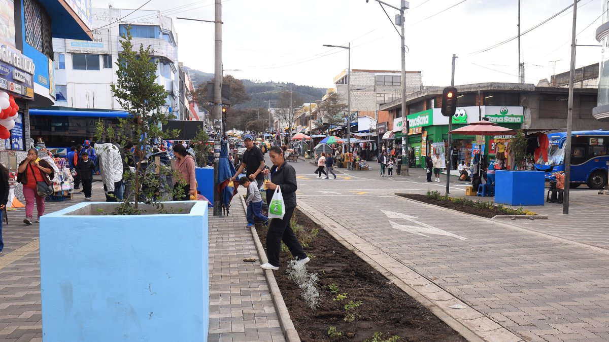 Jardineras, ventas ambulantes y basura marcan el panorama del Sendero Seguro en Cotocollao.