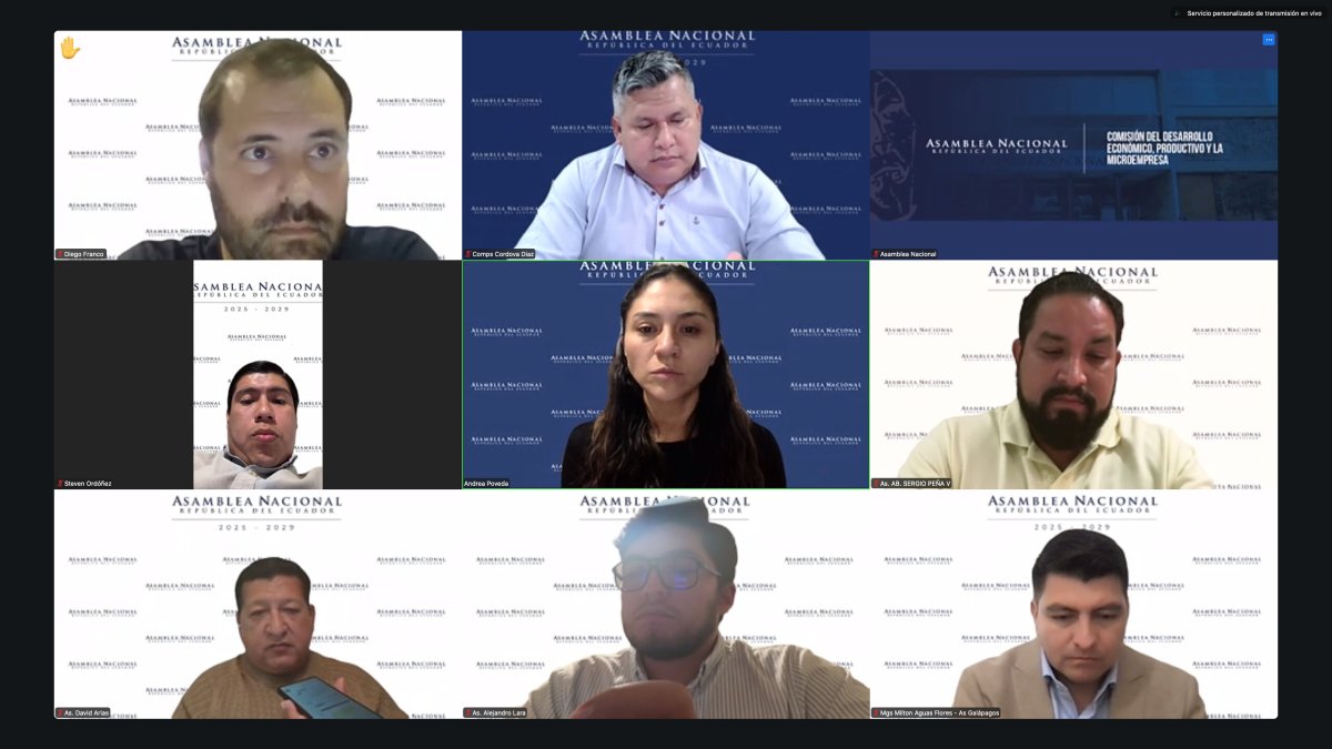 Con ocho votos a favor pasa el informe para el segundo debate del Proyecto de Ley Orgánica para el Fortalecimiento de los Sectores Estratégicos de Minería y Energía.