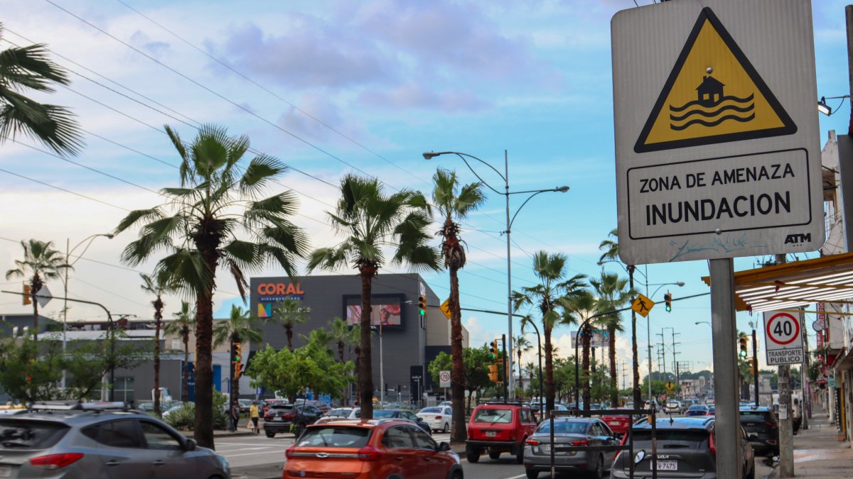 Las señaléticas preventivas buscan alertar a conductores sobre puntos propensos a inundaciones y caída de material.