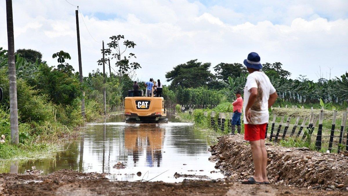 Productores temen que la propagación del fusarium llegue por los canales de riego
