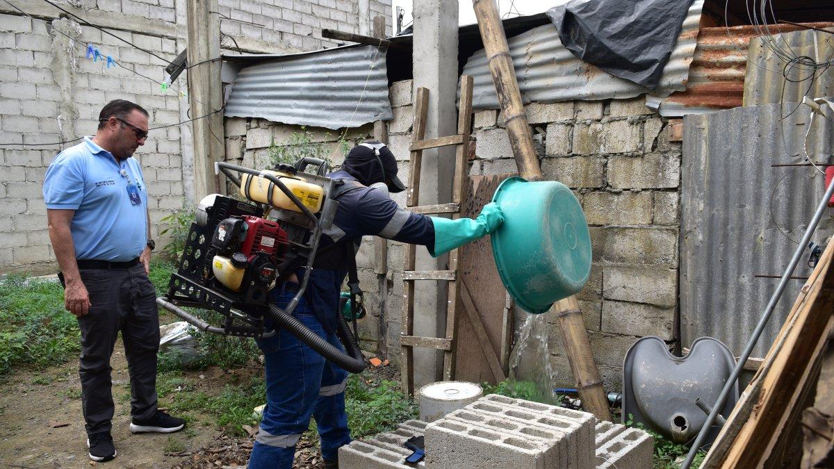 Autoridades municipales han realizado jornadas de fumigación.