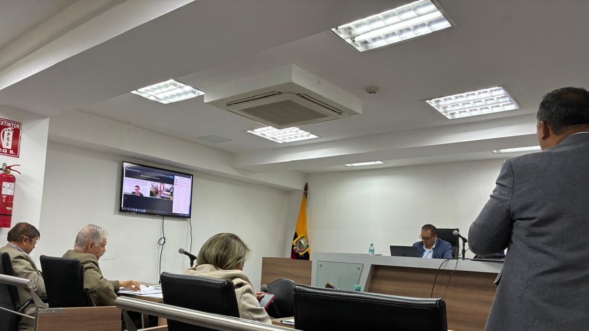 Durante la audiencia de acción de protección.