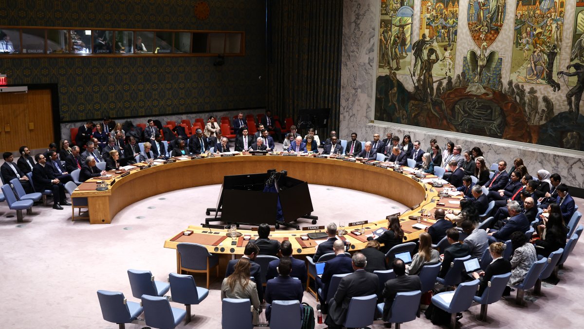 Reunión de emergencia del Consejo de Seguridad de la ONU