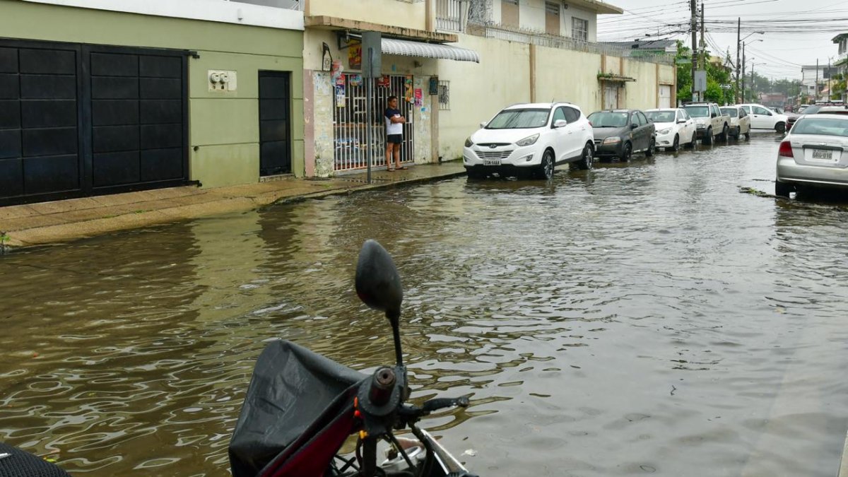 Zonas del norte y del sur nuevamente se vieron afectadas por las lluvias registradas este 19 de febrero. Aegaciones puntuales y caída de árboles obligaron intervenciones de emergencia.