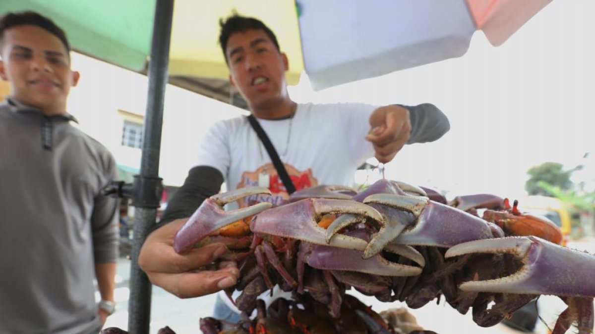 Los comerciantes pueden volver a expender cangrejos en Ecuador.