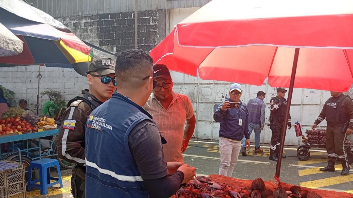 Comercio ilegal de cangrejos en Guayaquil.
