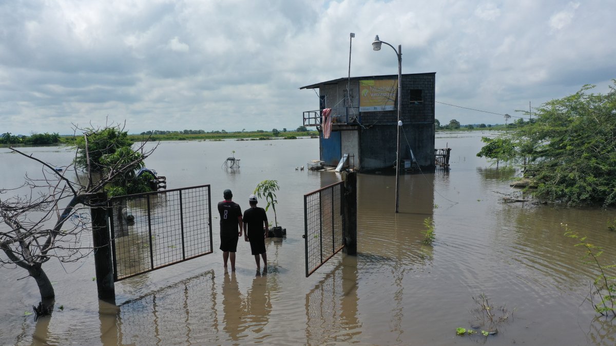 Afectados del recinto Mar Negro perdieron gran parte de sus plantaciones y han sufrido daños en las viviendas.