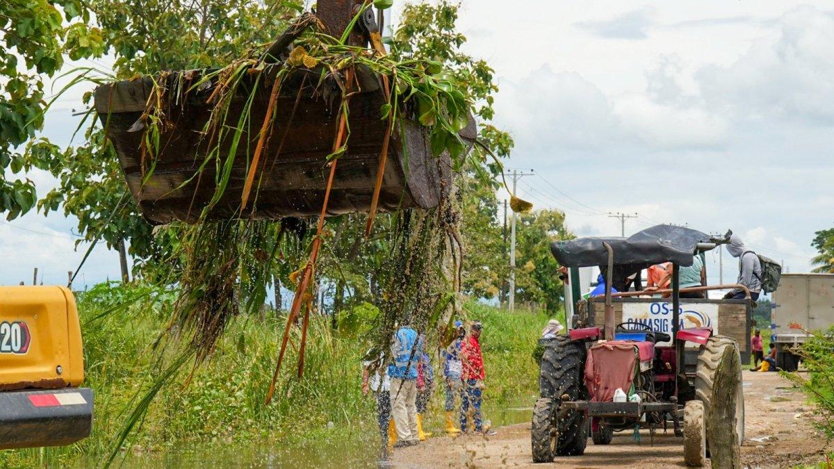 Maquinaria remueve cultivos echados a perder y habilita caminos