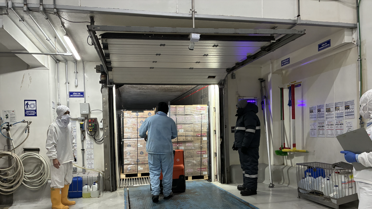 Embarque de los productos congelados para exportar a Bolivia.